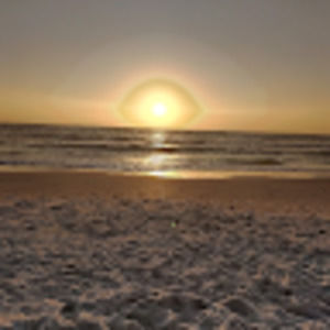 Meet your Posher, Penny